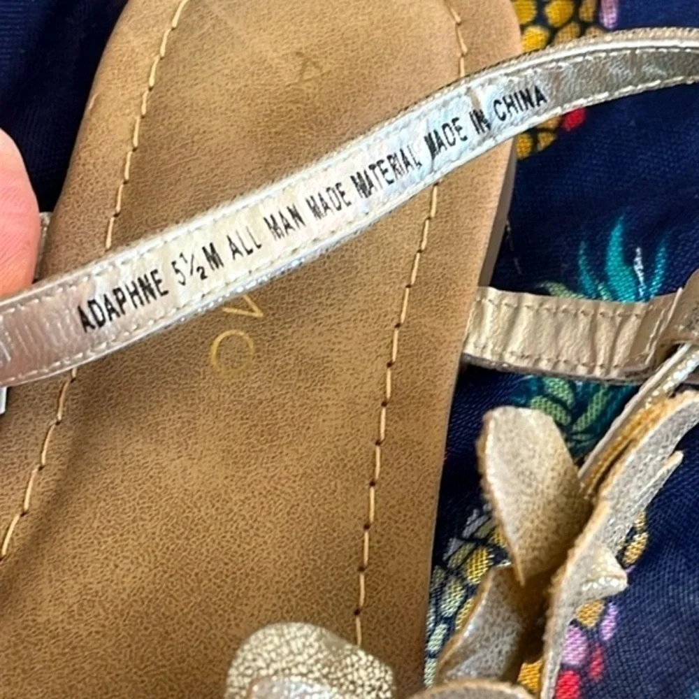 Andiamo brand new